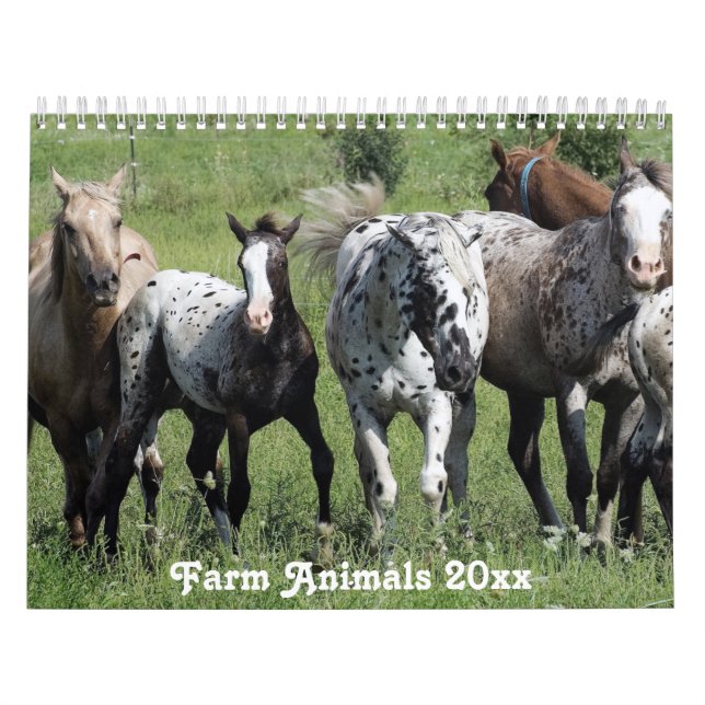 Calendrier Amérique rurale Animaux de ferme (Protection)