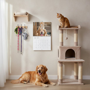 Calendrier Amis à poils