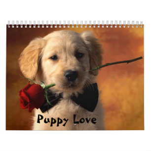 Calendrier Amour de chiot