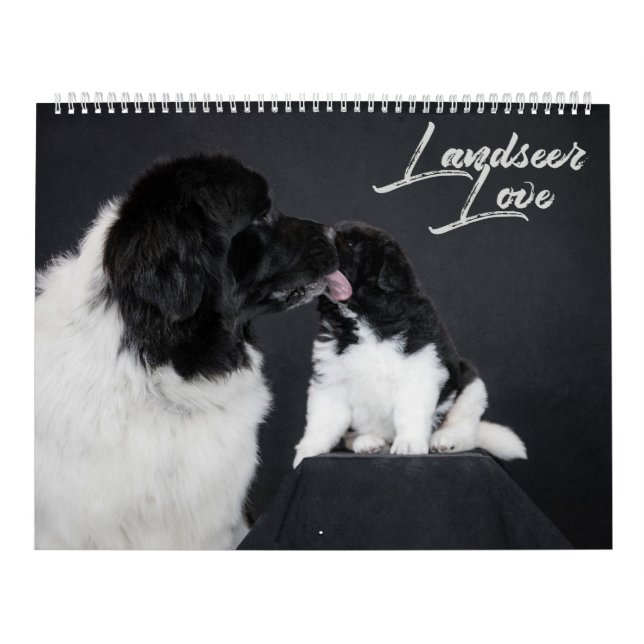 Calendrier Amour Landseer (Protection)