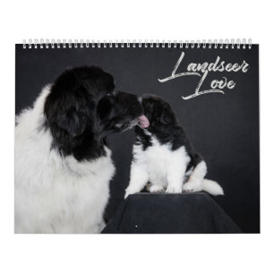 Calendrier Amour Landseer