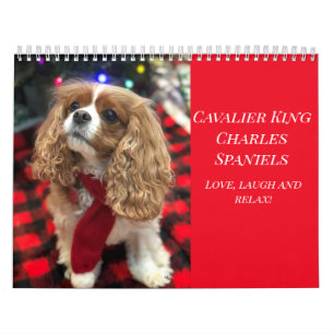 Calendrier Amour, Rire & Relax Cavalier King Charles Spaniels