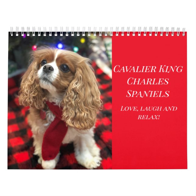 Calendrier Amour, Rire & Relax Cavalier King Charles Spaniels (Protection)