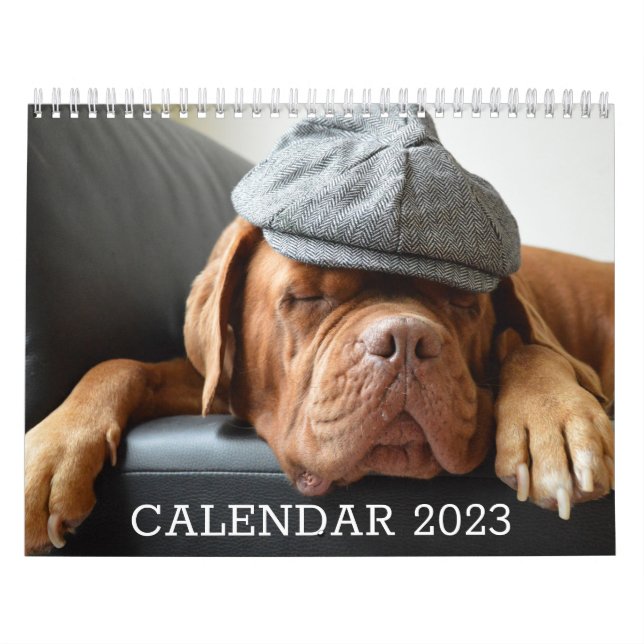 Calendrier Amoureux des chiens (Protection)