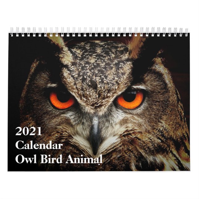 Calendrier amusant : Oiseau de Chouette (Protection)