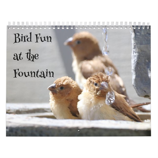 Calendrier Amusement d'oiseaux à la fontaine (Protection)