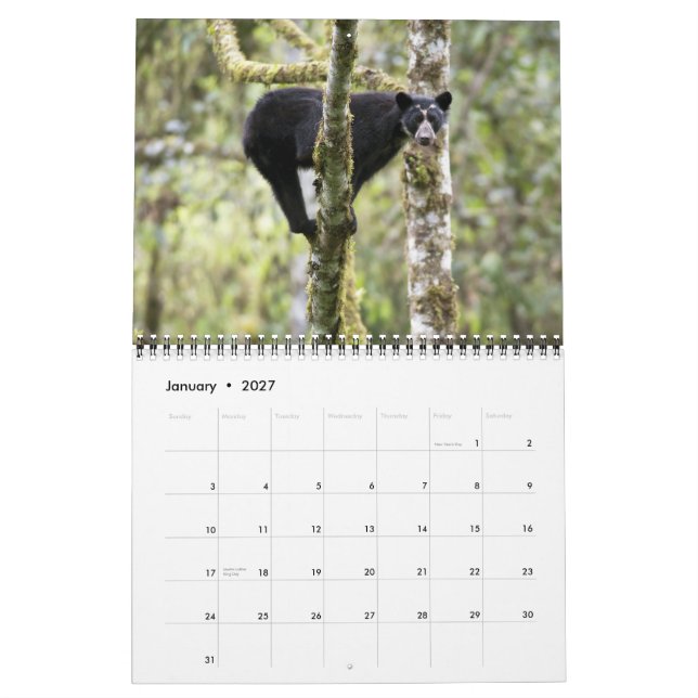 Calendrier Andean Bears II -calendrier 15 mois 1/2012 - 3/201 (Jan 2027)