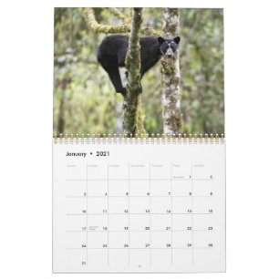 Calendrier Andean Bears II -calendrier 15 mois 1/2012 - 3/201