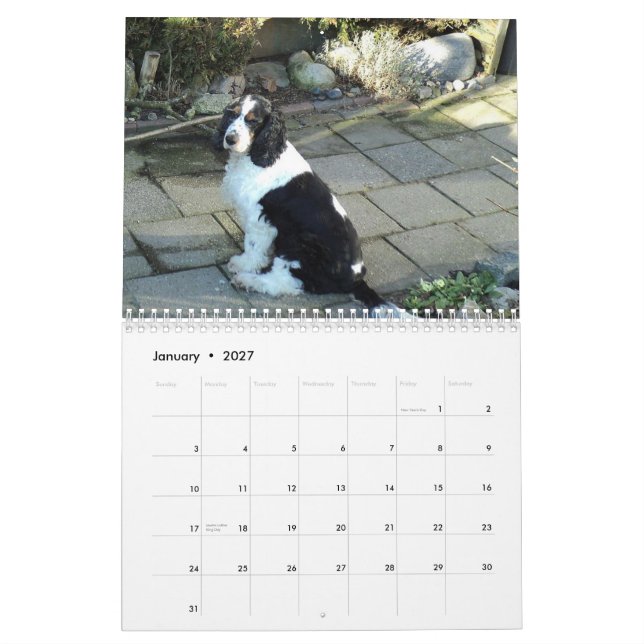 calendrier anglais de cocker (Jan 2027)