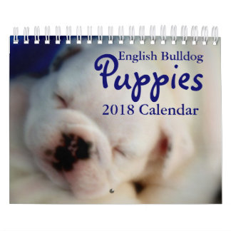 Calendrier anglais des chiots 2018 de bouledogue