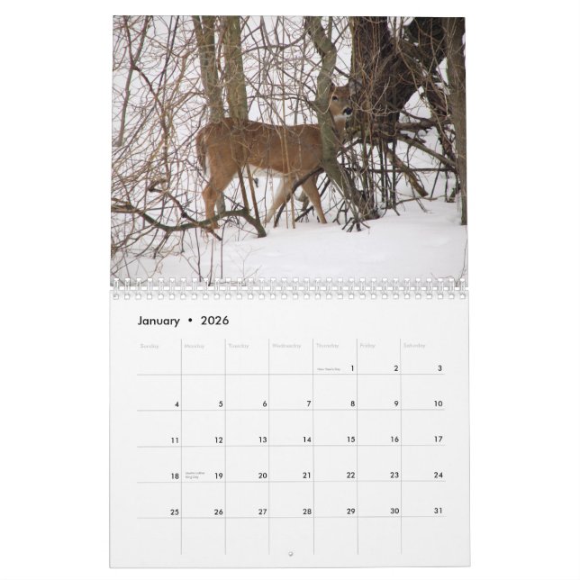 Calendrier animal (Jan 2026)