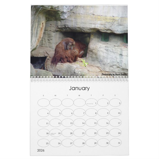 Calendrier animal 2008 (Jan 2026)