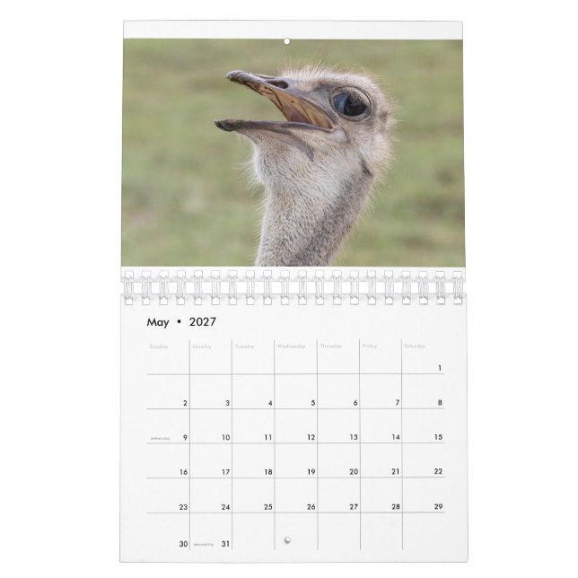 Calendrier animal 2026 (Mai 2027)