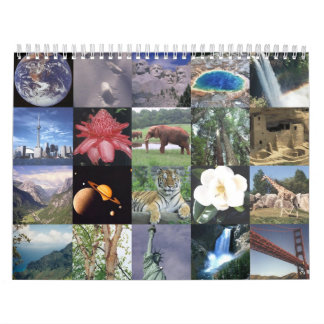 Calendrier animal 5