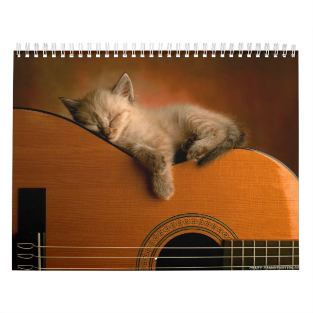 Calendrier animal 7 (Protection)