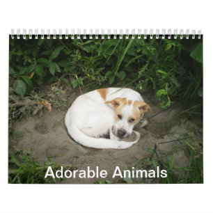 Calendrier animal adorable