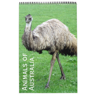 Calendrier animal australien