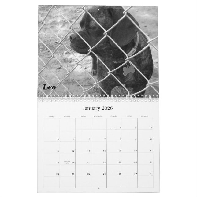 Calendrier animal de compagnie 2011 : Chats et chi (Jan 2026)