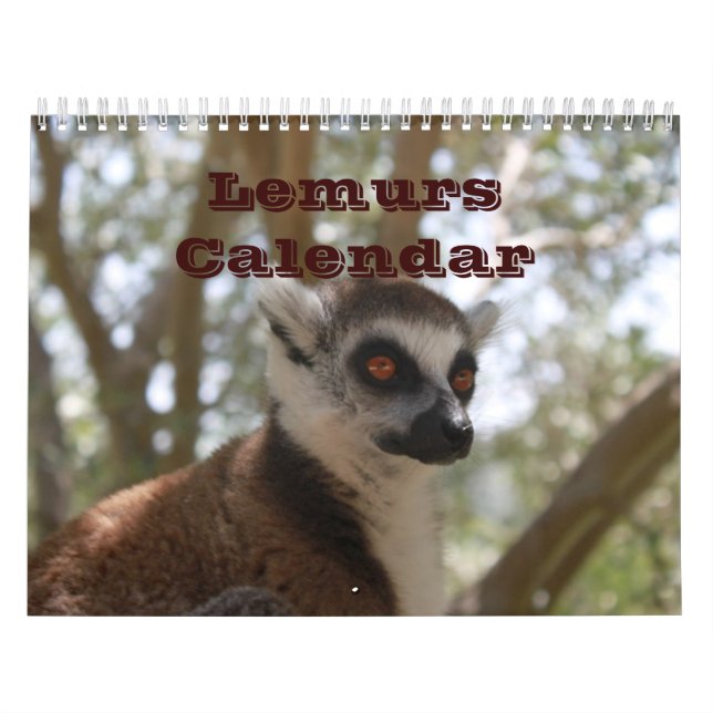Calendrier Animal Lemur Cute Nature Zoo Destin personnalisé (Protection)