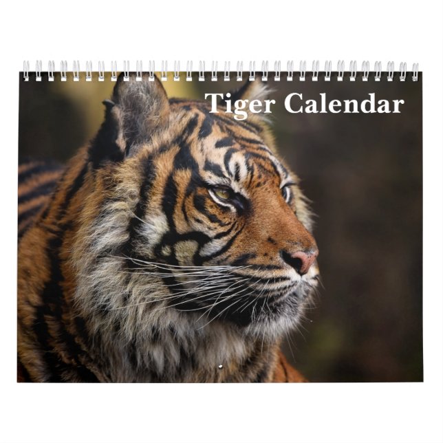Calendrier Animal sauvage de tigre 2025 (Protection)