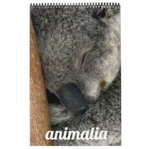 Calendrier animalia