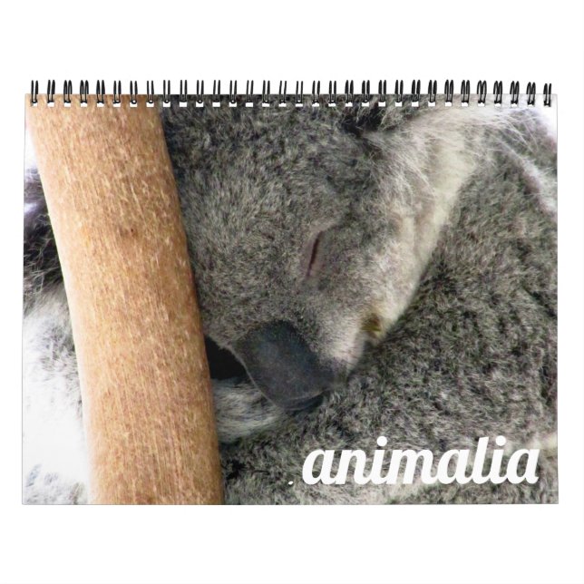 Calendrier animalia 2027 (Protection)