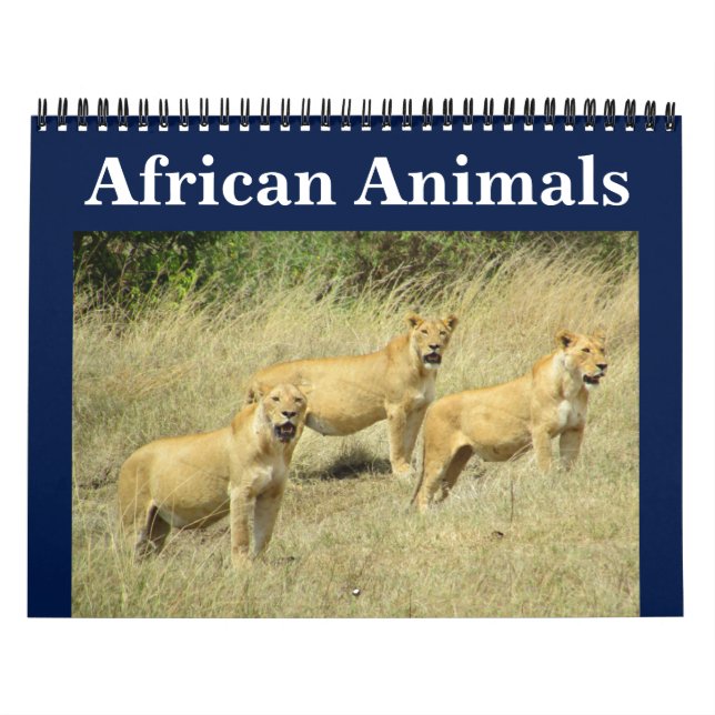 Calendrier animalie africaine (Protection)