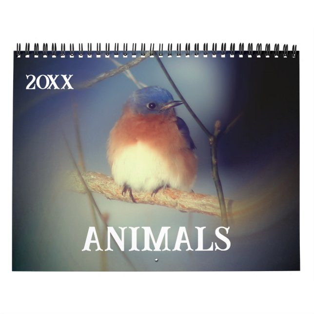 Calendrier Animals (Protection)