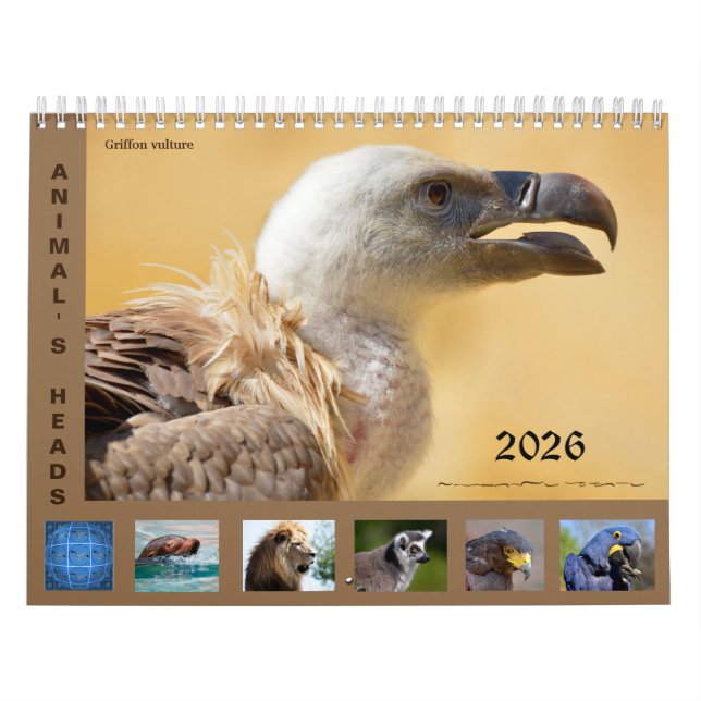 Calendrier Animal's heads 12 month calendar (Protection)