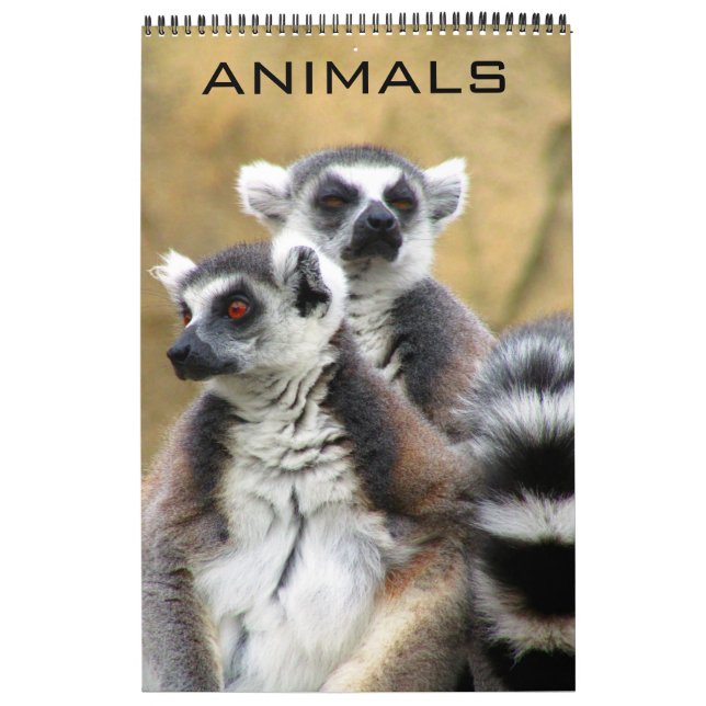 Calendrier animaux (Protection)