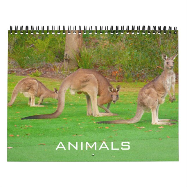 Calendrier animaux 2027 (Protection)