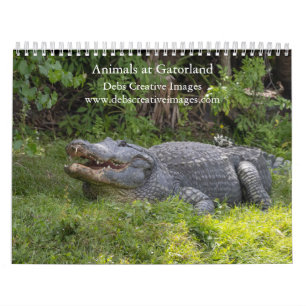 Calendrier Animaux à Gatorland 2025
