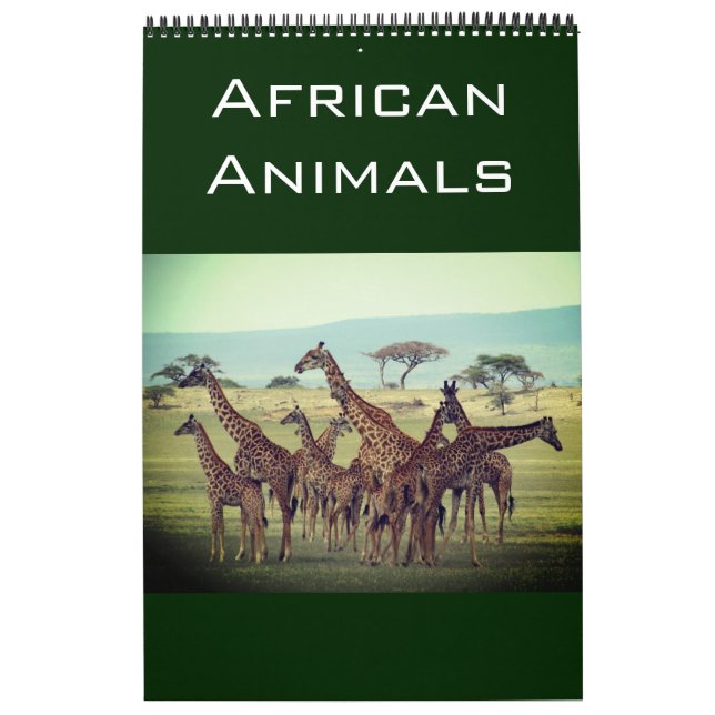 Calendrier animaux africains 2025 (Protection)