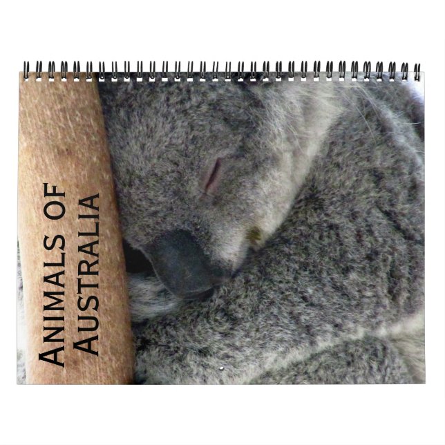 Calendrier animaux australiens 2025 (Protection)