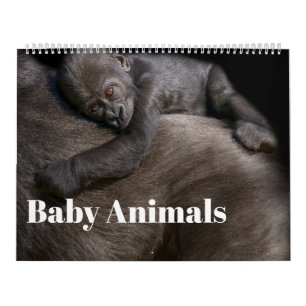 Calendrier Animaux bébé Signature 2027