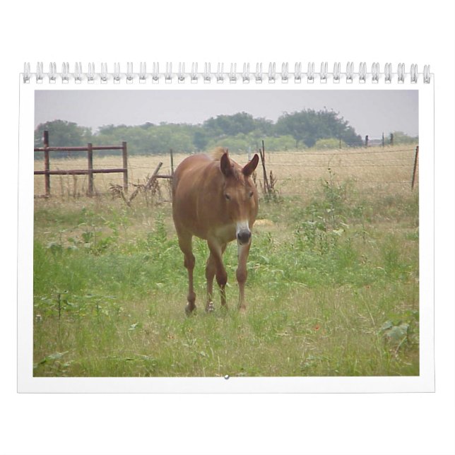 Calendrier Animaux Calander (Protection)
