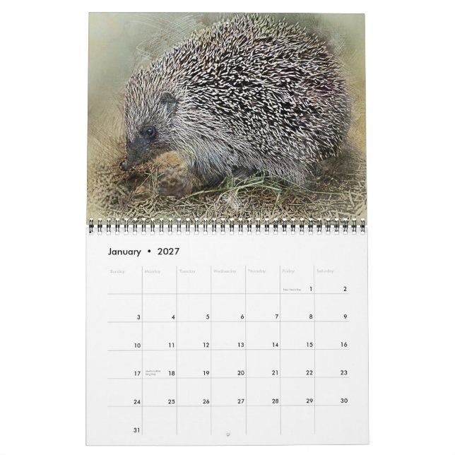 Calendrier Animaux Compagnons Faune Amour Destin Destinée (Jan 2027)