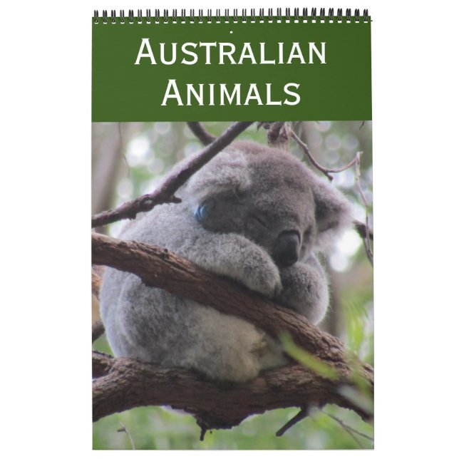 Calendrier animaux d'Australie 2027 (Protection)