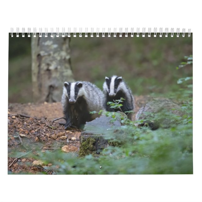 Calendrier Animaux de la forêt (Protection)
