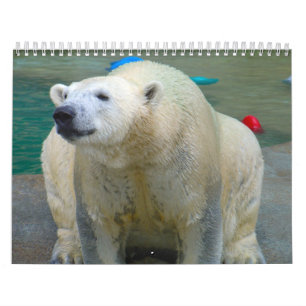 Calendrier Animaux de zoo de Brookfield