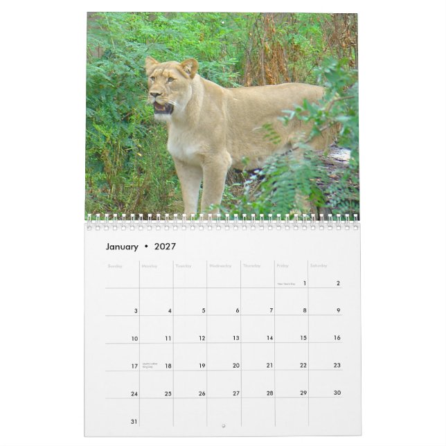 Calendrier Animaux de zoo de Brookfield (Jan 2027)