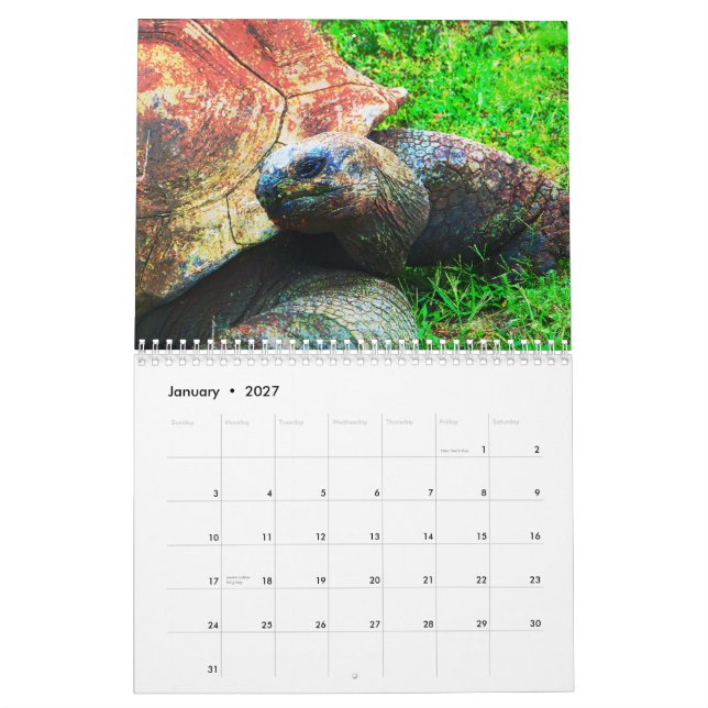 Calendrier Animaux de zoo de Kansas City (Jan 2027)