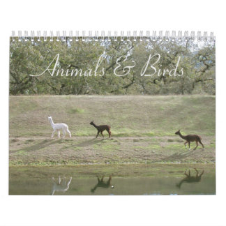 Calendrier - Animaux et oiseaux