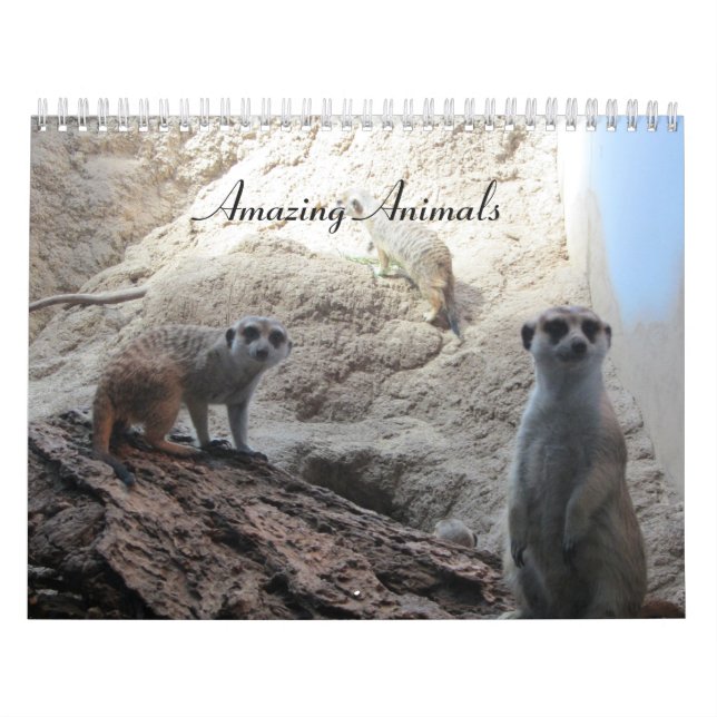 Calendrier Animaux Étonnants (Protection)
