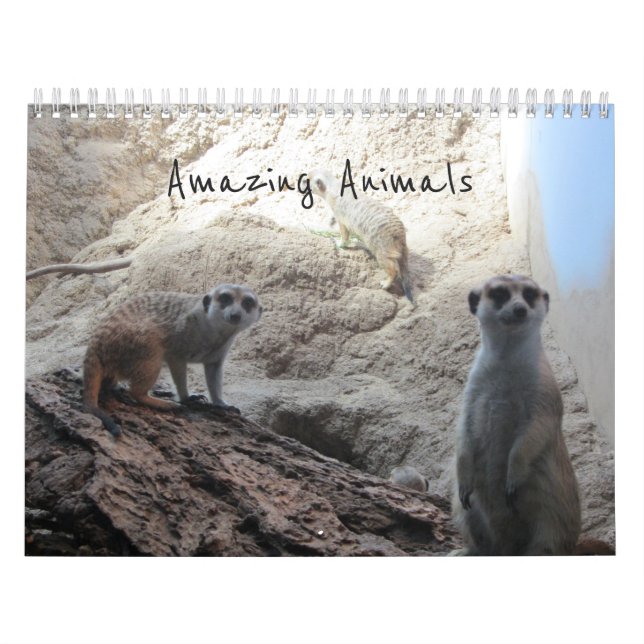 Calendrier Animaux Étonnants (Protection)