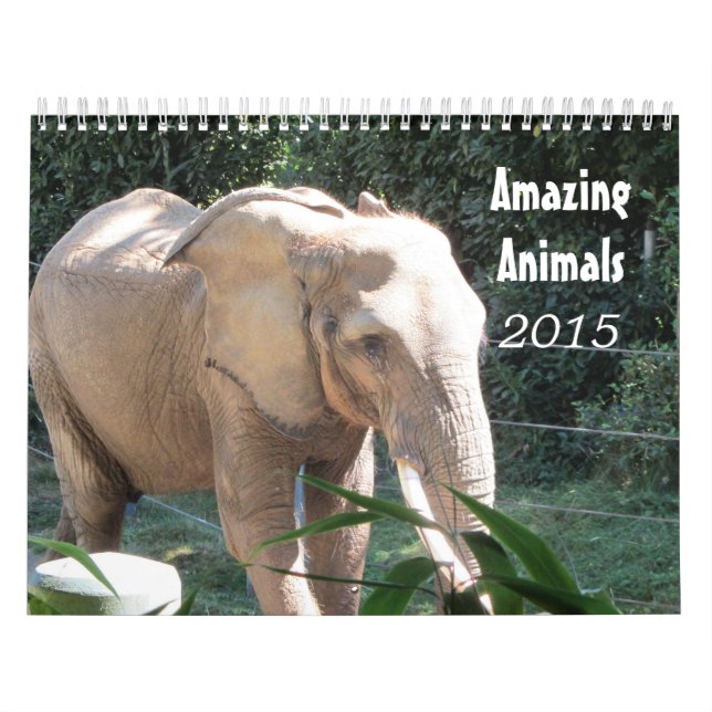 Calendrier Animaux Extraordinaires 2015 (Protection)