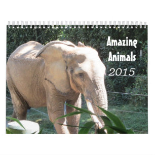 Calendrier Animaux Incroyables 2015