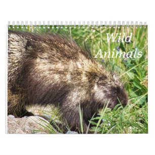 Calendrier Animaux sauvages