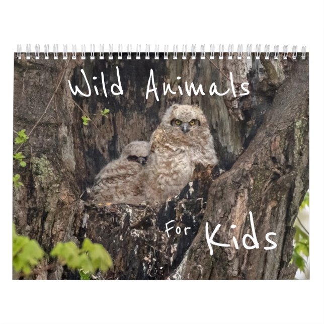 Calendrier Animaux Sauvages Pour Les Enfants (Protection)