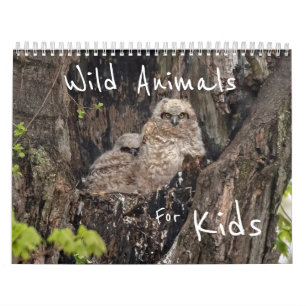 Calendrier Animaux Sauvages Pour Les Enfants